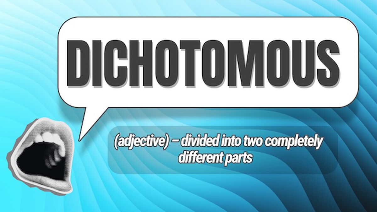 Because Words, You Know? image number null